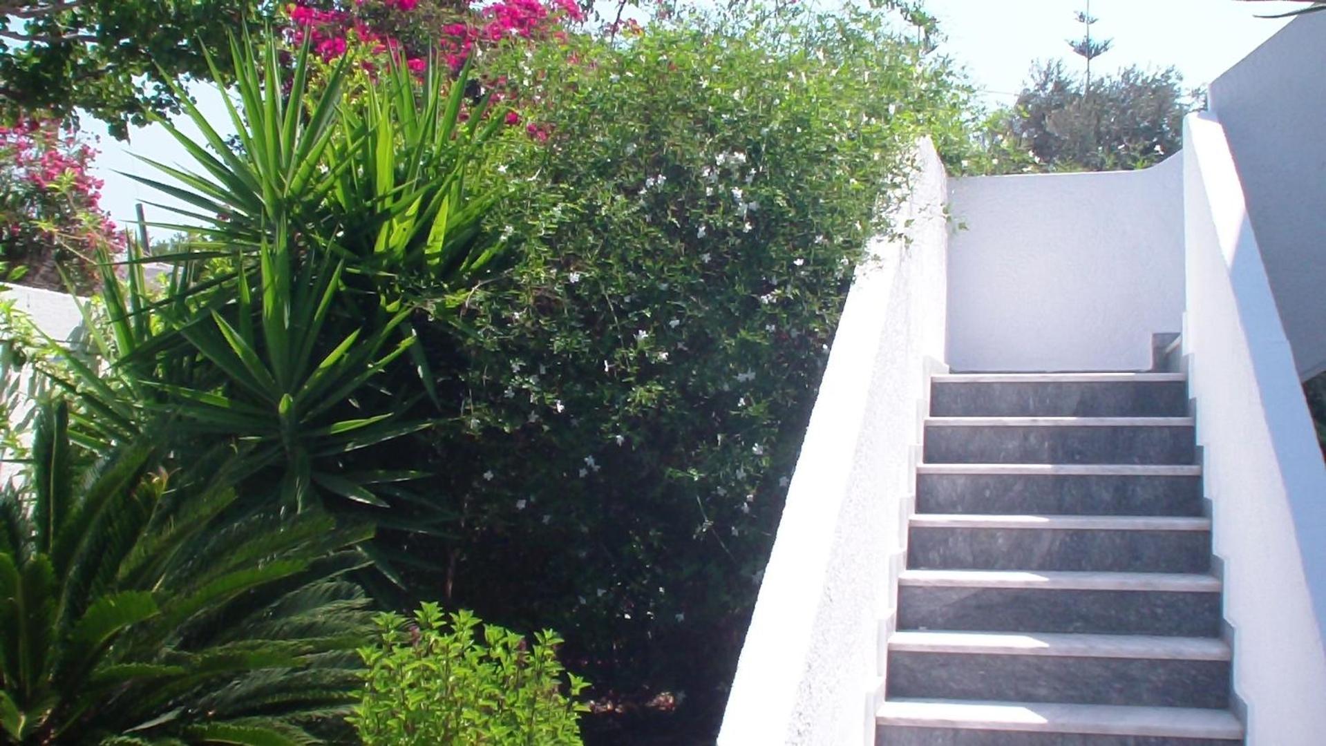 Creta Vassakis Studios 2 Kefalos  Exterior photo